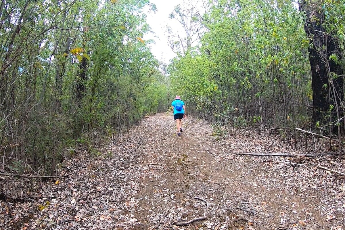Walking in the Porongurup National Park