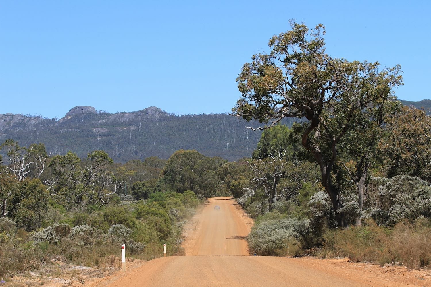 Walking in the Porongurup National Park